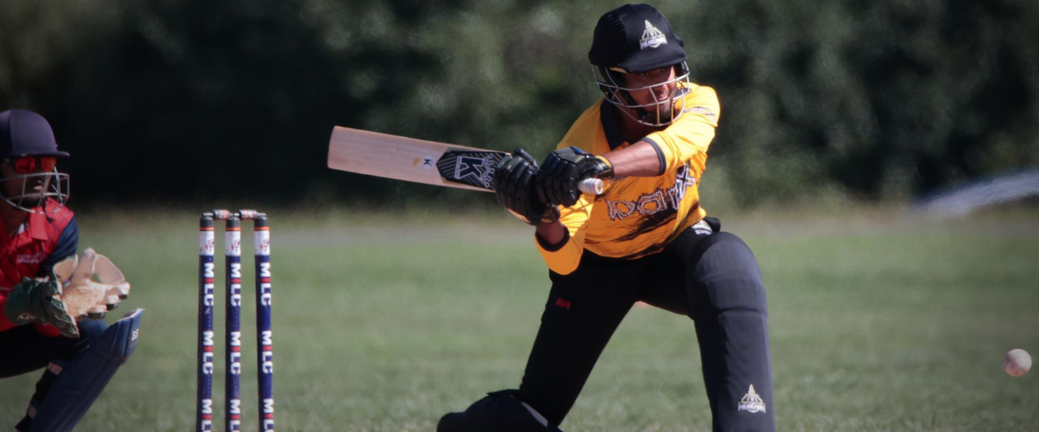 Person playing cricket with a bat and ball on a field