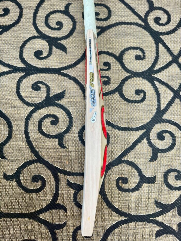 CA GOLD 15000 PLAYERS EDITION 7STAR Cricket Bat - Image 4